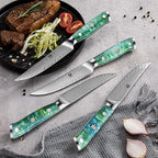 WILDMOK Steak Knives, 5 inch Non Serrated Steak Knife Set of 4, Japanese Damascus VG10 Steel Steak Knives, Dishwasher Safe Steak Knives, Premium Steak Knives Set with Gift Box