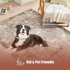 9' x 12' Washable Area Rug - Low Pile Soft Vintage Indoor Rug for Living, Dining or Bedroom - Lightweight Carpet with Non-Slip Backing - Foldable for Easy Placement, Brown