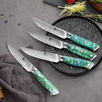 WILDMOK Steak Knives, 5 inch Non Serrated Steak Knife Set of 4, Japanese Damascus VG10 Steel Steak Knives, Dishwasher Safe Steak Knives, Premium Steak Knives Set with Gift Box